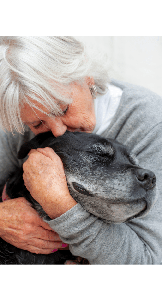 Top 10 Benefits of Orthopedic Dog Beds for Senior Dogs - furryfriendsfurnishingsco