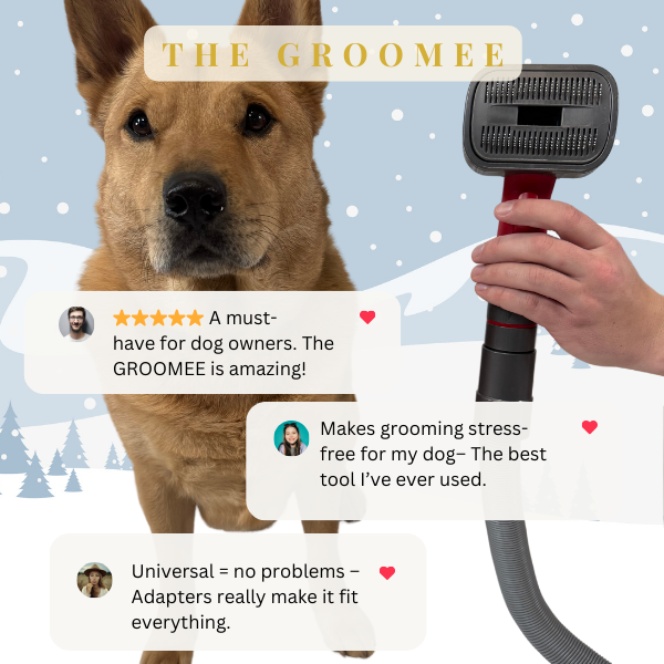 The GROOMEE™ Kit